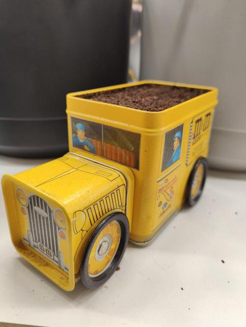 Auto in Auto and other small grows. Week 0 - Auto