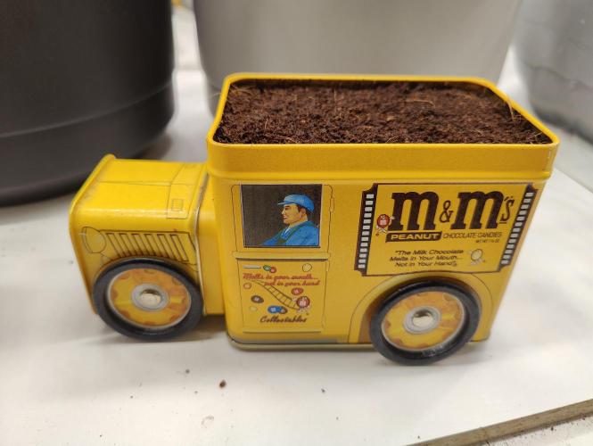 Auto in Auto and other small grows. Week 0 - Auto