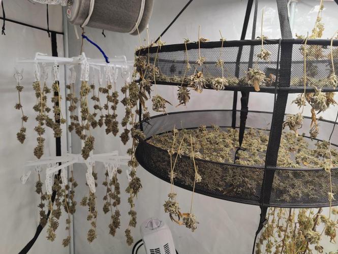 Zoap Rosé in swimming school. Week 25 - Nuggets