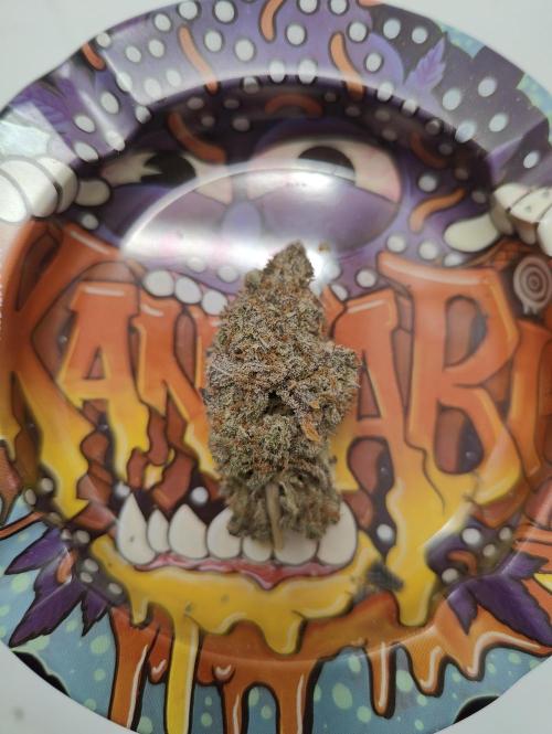 Zoap Rosé in swimming school. Week 25 - Nugget