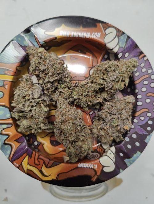 Zoap Rosé in swimming school. Week 25 - Nuggets