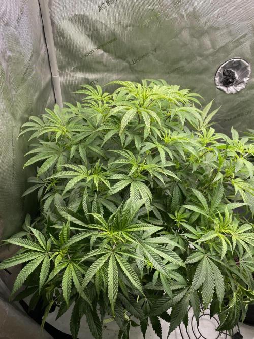 Fem 10. Week 14