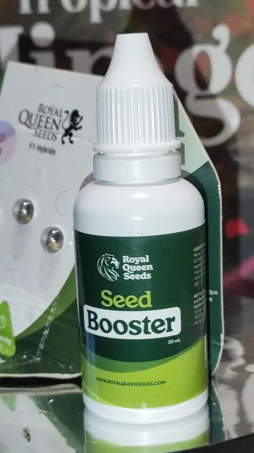 Mimosa Auto RQSCREW