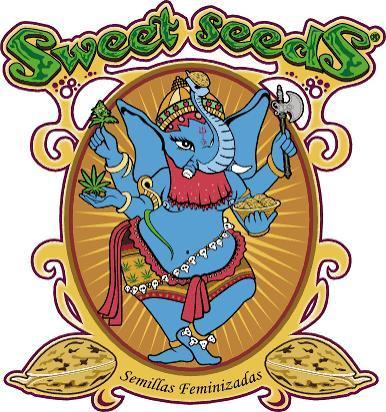 Monster Maker & Marshydro. Week 11