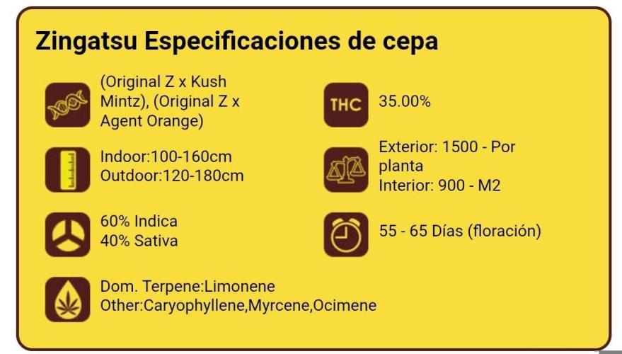 Zingatsu Xpertnutrients. Week 0