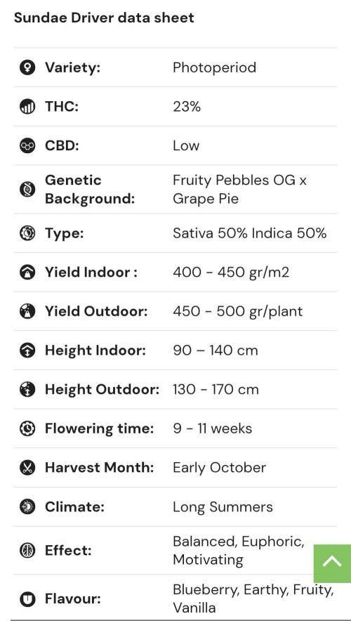 Sundae Driver Marshydro. Week 0