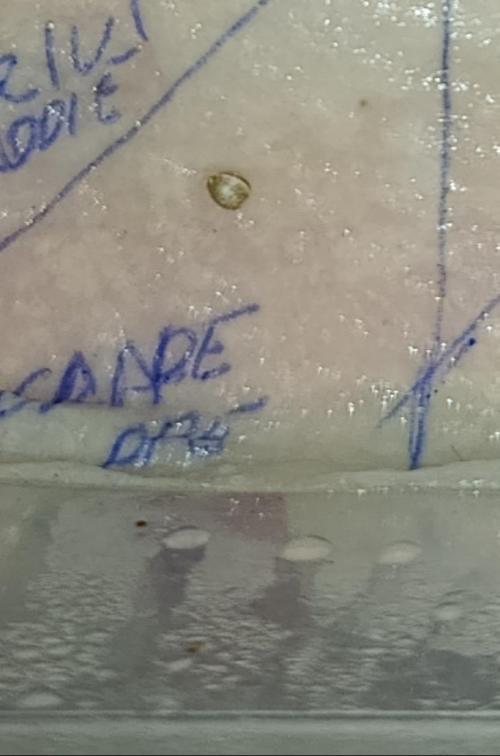 Grape Ape Marshydro. Week 0