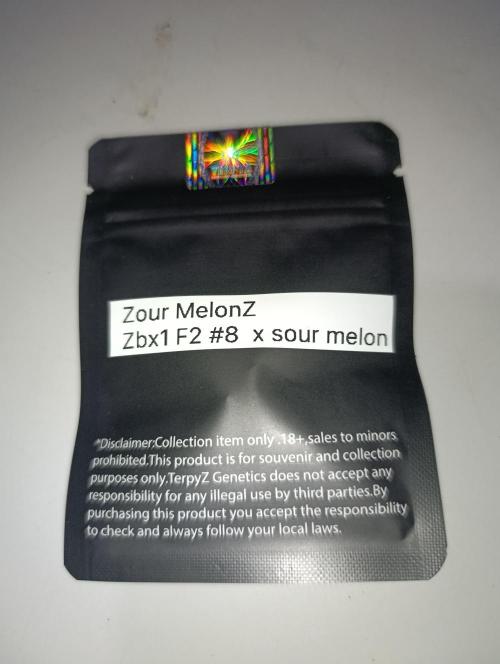 Zour MelonZ Test & Xpertnutrients. Week 0