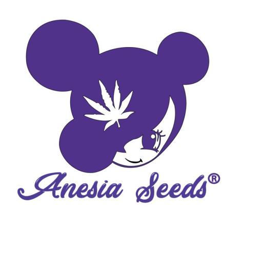 Zoomiez & Marshydro. Week 2