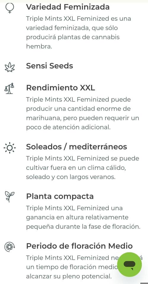 Triple Mints XXL. Week 0