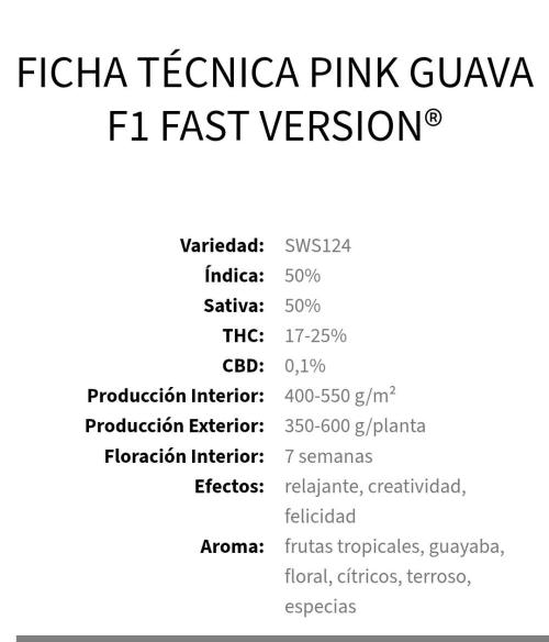 Pink Guava F1 FV. Week 0