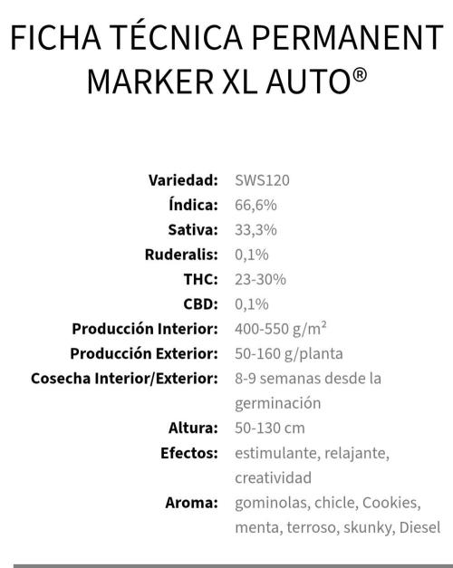 Permanent Marker XXL Auto. Week 0
