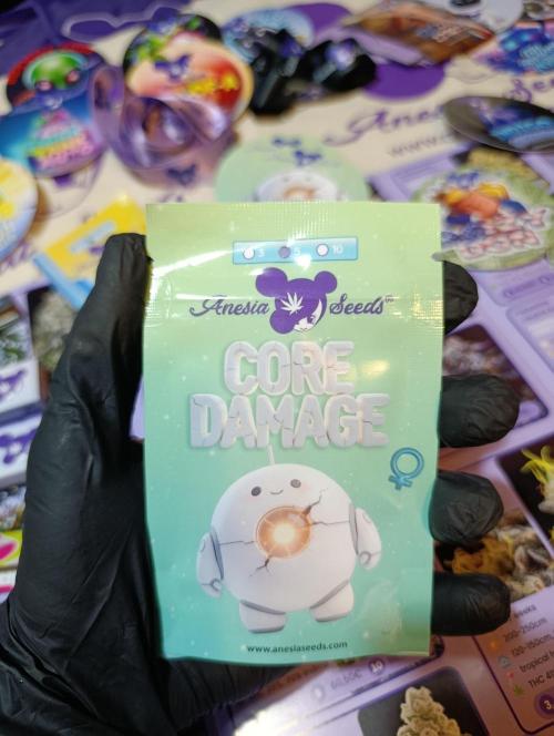Core Dagmage. Week 0