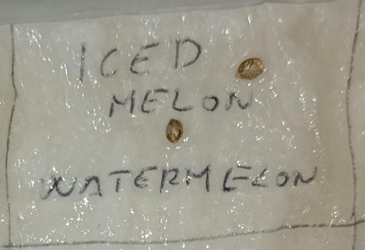 Iced Lemon Watermelon. Week 0