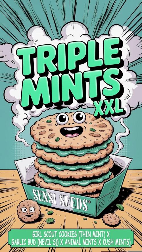 Triple Mints XXL. Week 0