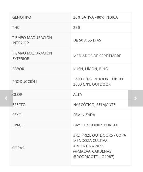 Bay Burguer Contest. Week 0