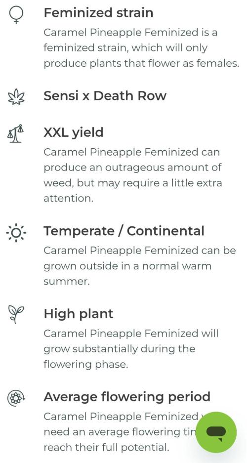 Caramel Pineapple. Week 0