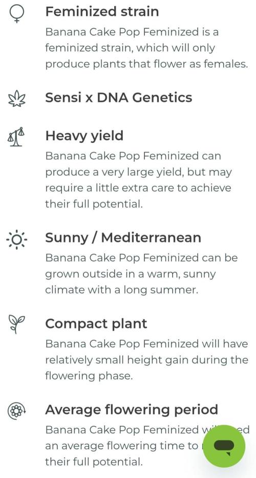 Banana Cake Pop. Week 0