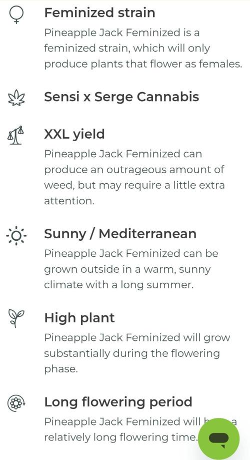 Pineapple Jack. Week 0