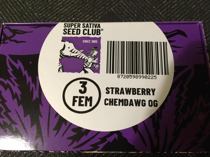 Strawberry Chemdawg OG. Week 0