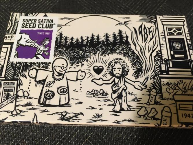 Strawberry Chemdawg OG. Week 0