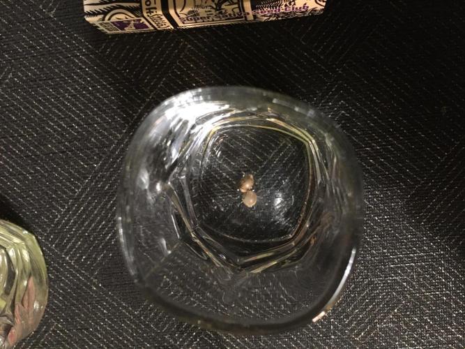 Strawberry Chemdawg OG. Week 0