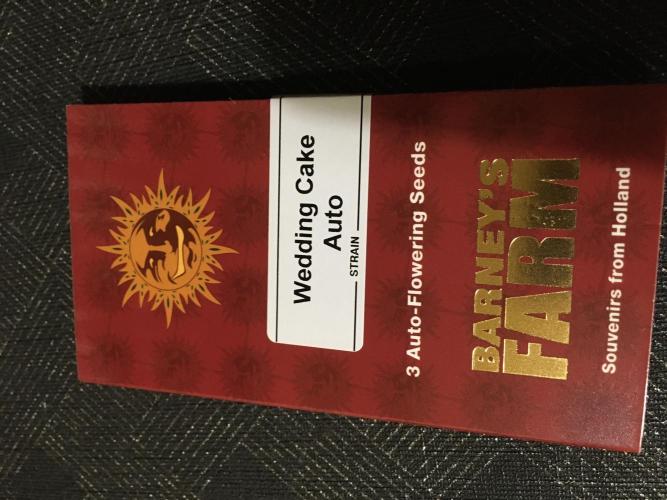 Wedding Cake. Week 0