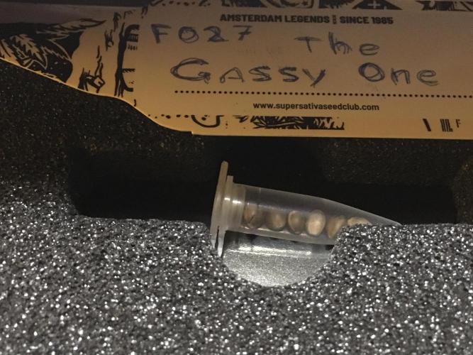 The Gassy One F027. Week 0