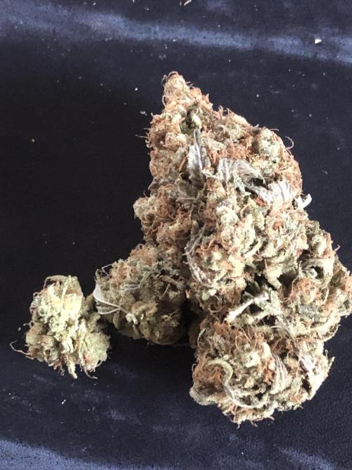 Monster maker. Week 11