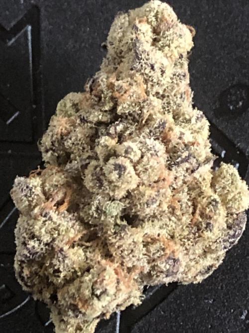 Monster maker. Week 11