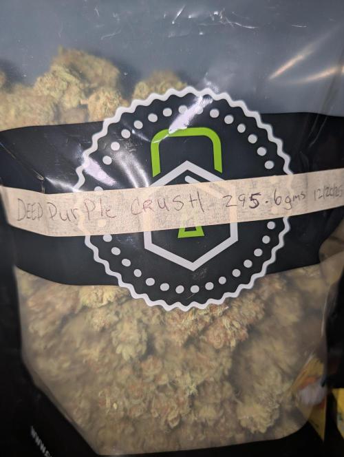 Deep purple crush. Week 12