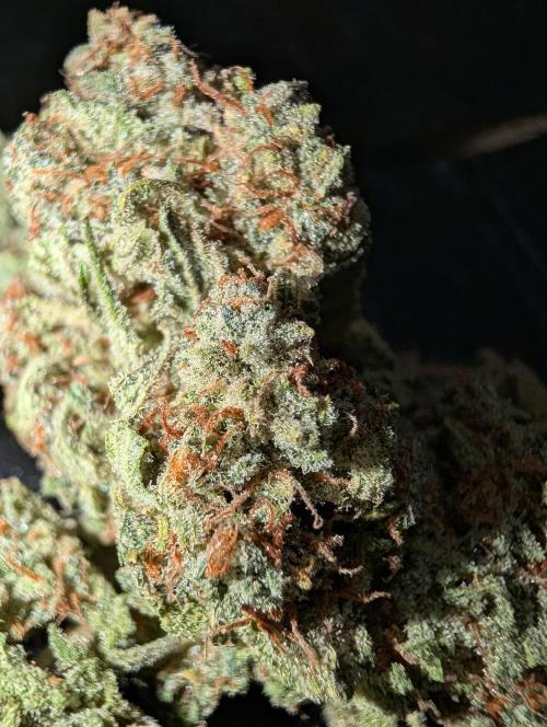 Deep purple crush. Week 12