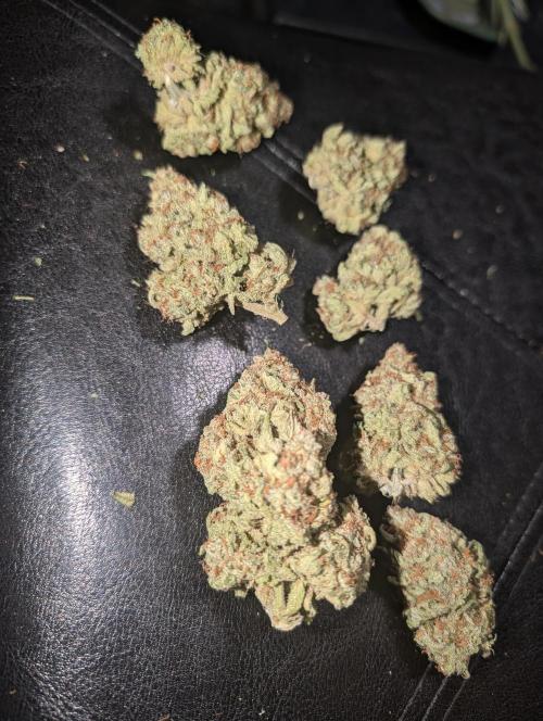 Deep purple crush. Week 12