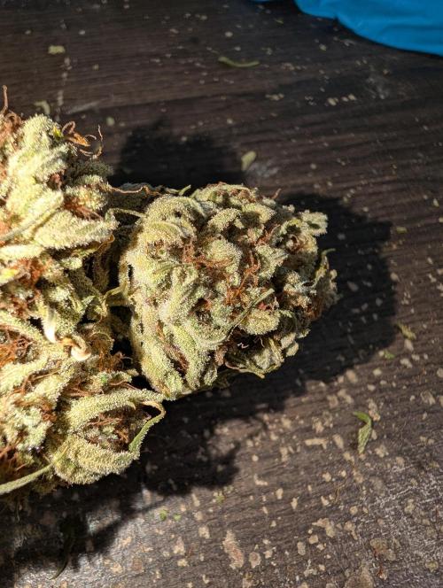 Deep purple crush. Week 12