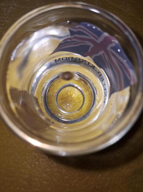 Alien Apparition. Week 0 - Day 1 soaking seeds in a glass of bottle water.