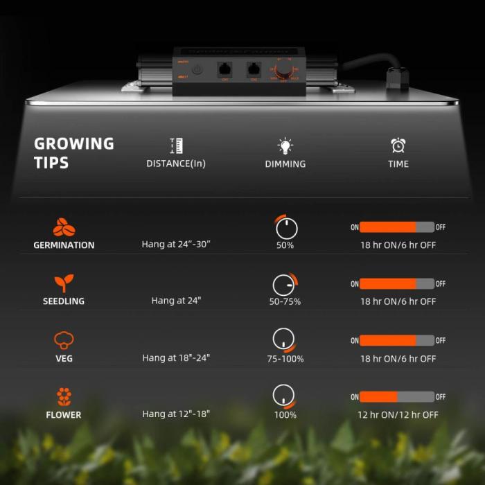 Cotton Candy Cane. Week 0