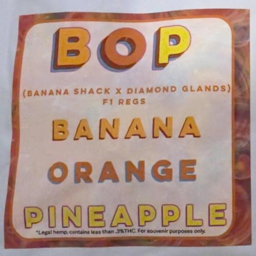 Banana Orange Pineapple - Shwale. Week 0