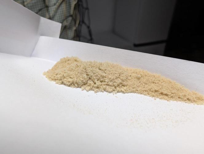 Banana Orange Pineapple - Shwale. Week 17 - "wet sift" loose trichome heads