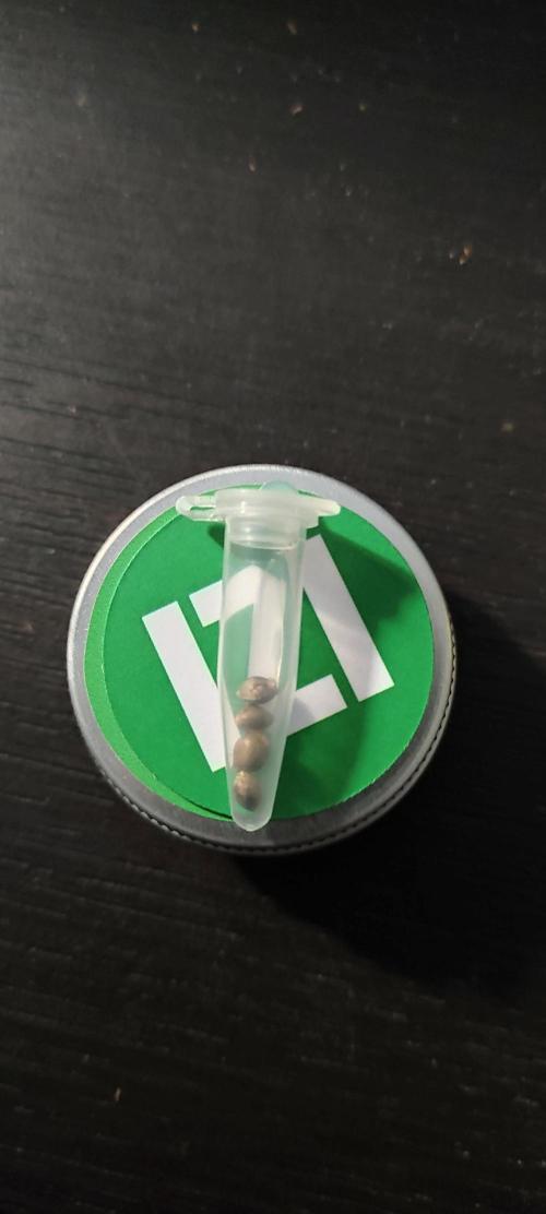 Izi Seeds Permanent Bluez. Week 0