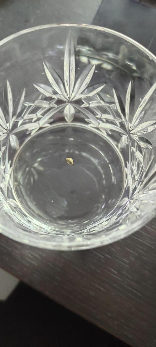 Izi Seeds Permanent Bluez. Week 0