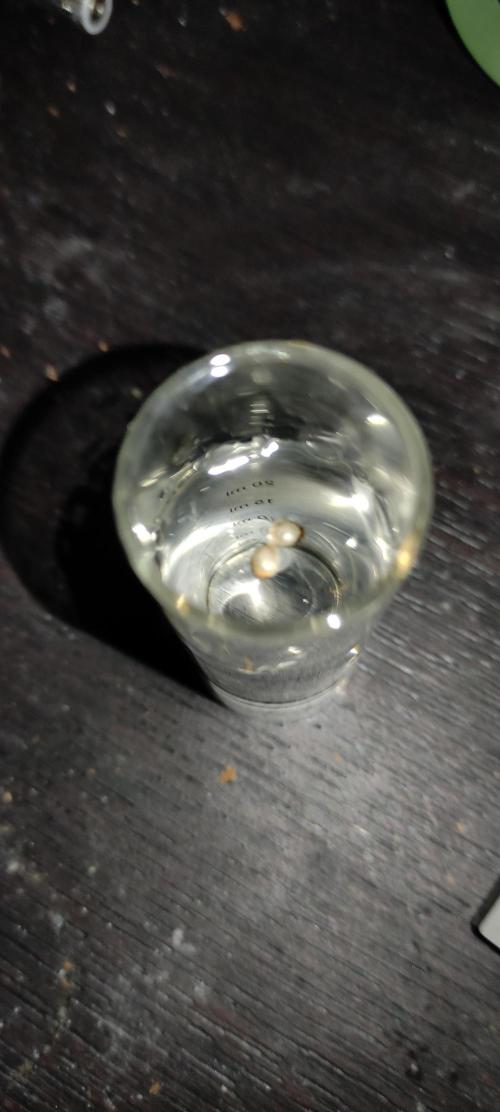 Eternity Cup 2026. Week 0