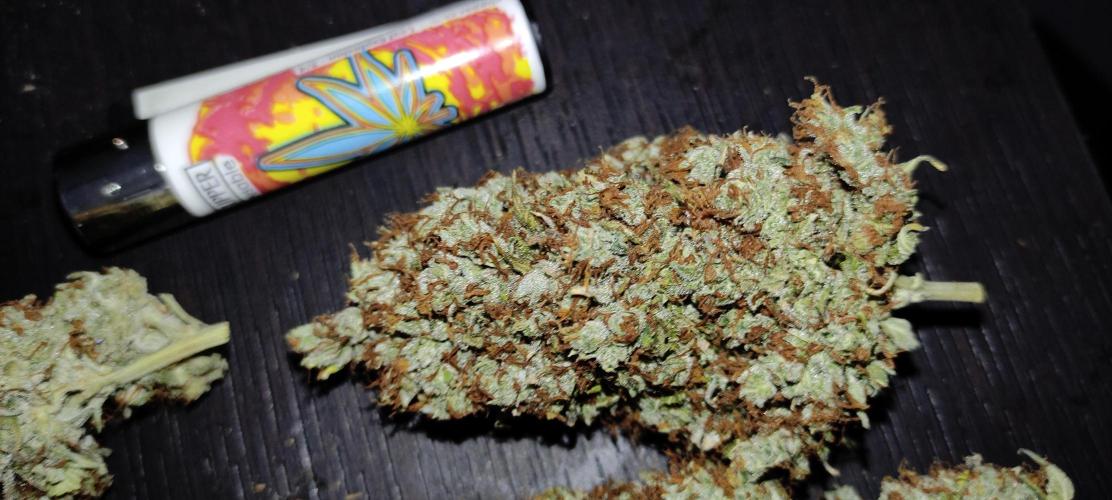 AK 47 XL Contest. Week 9