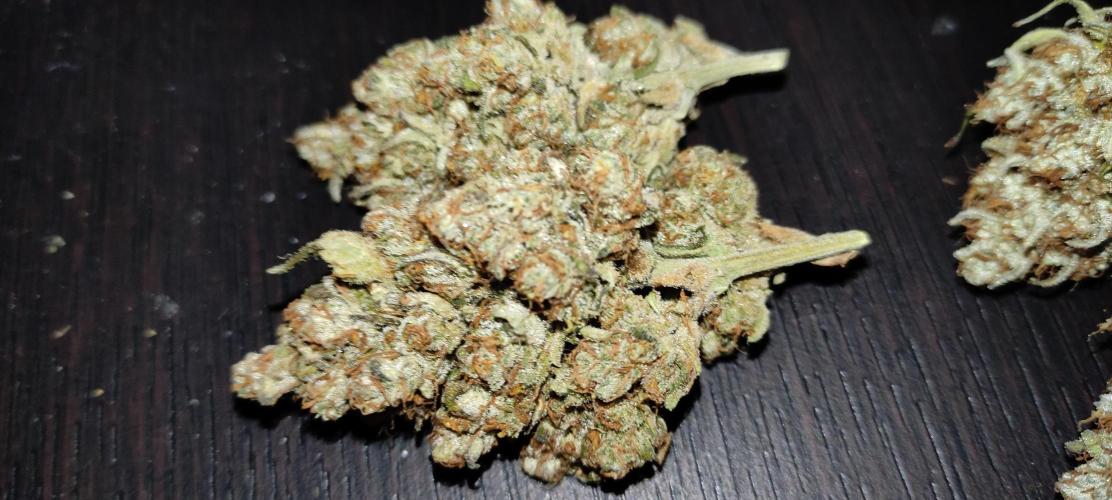 AK 47 XL Contest. Week 9