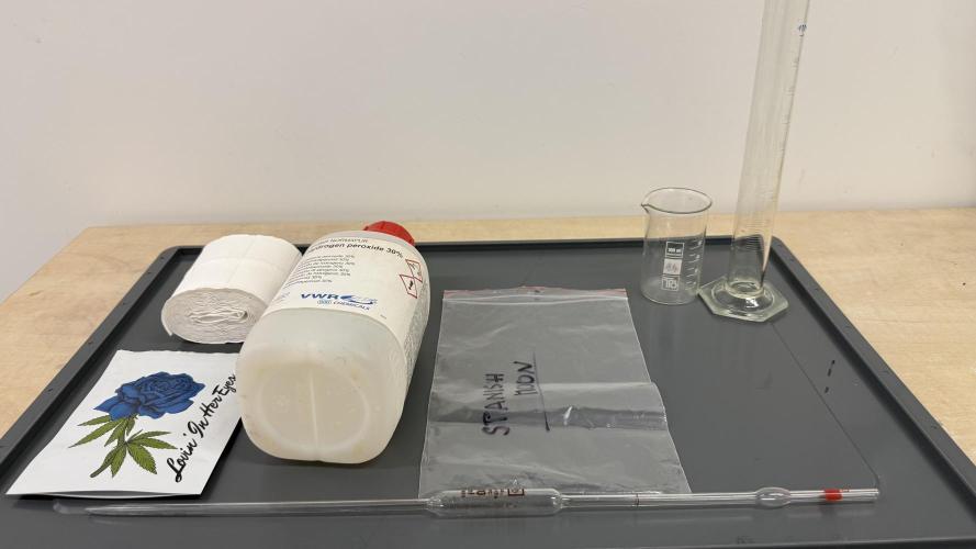 Spanish Moon by West Side Growth. Week 0