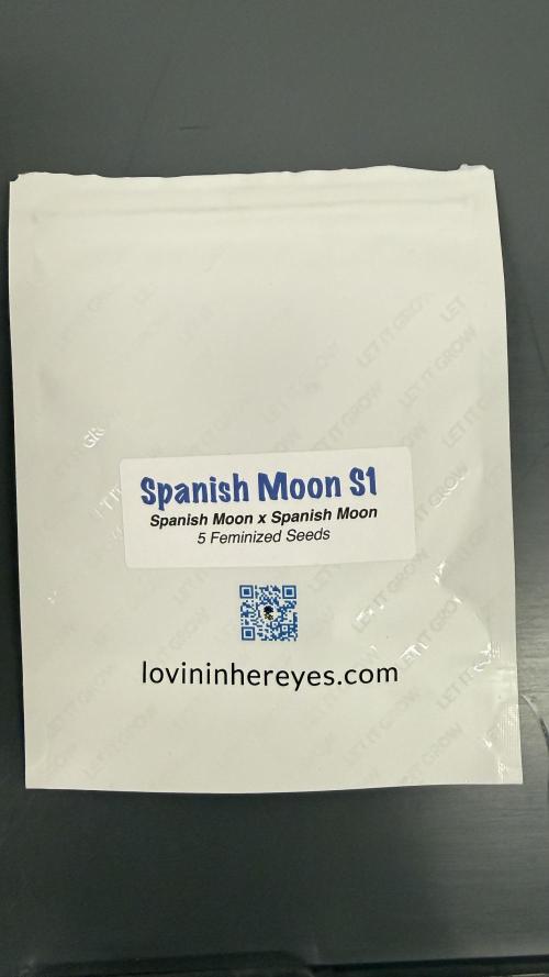 Spanish Moon by West Side Growth. Week 0