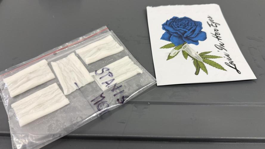 Spanish Moon by West Side Growth. Week 0