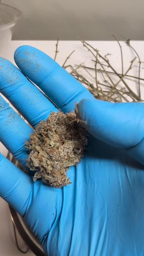 Kushberry Auto