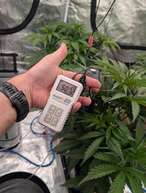 Slimer Round 3. Week 3