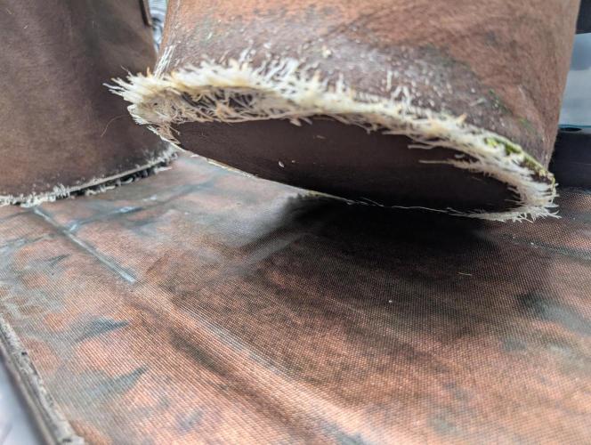 Caring for Angry Bears. Week 4