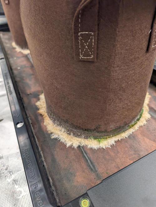 Caring for Angry Bears. Week 5